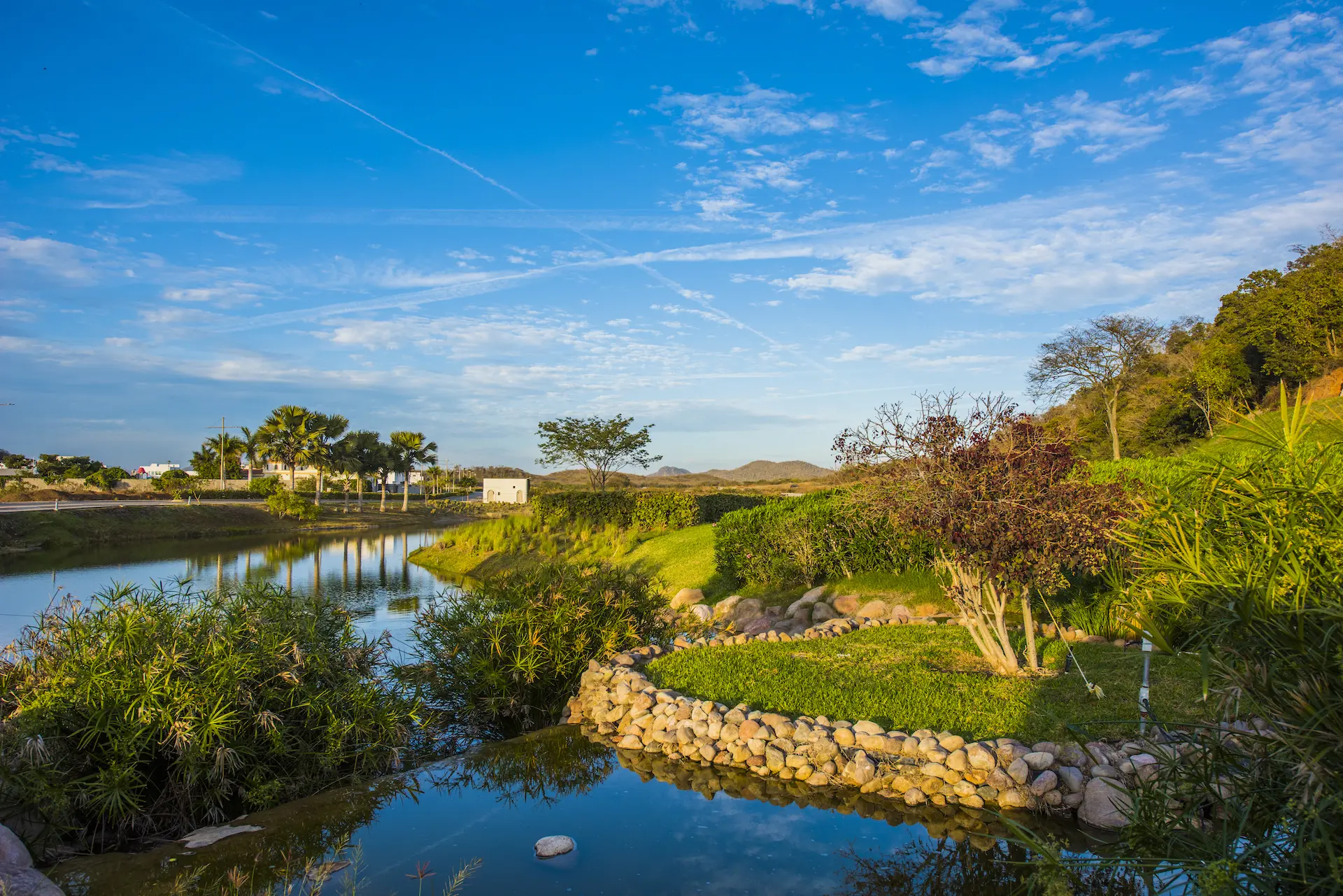 Lago y áreas naturales del desarrollo
